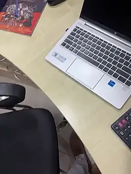 Mumbai_Strippern Webbikameraesitys