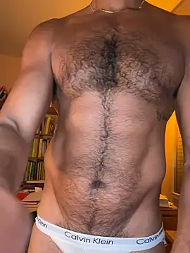 DarkfleXn Webbikameraesitys