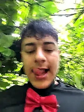 הופעת וובקאם של mischievousprince_