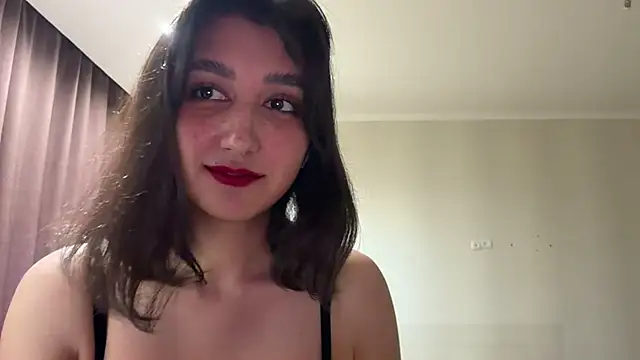 PaintedDisplay – webcam-show