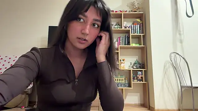 Show webcam de PaintedDisplay