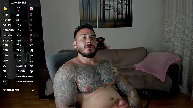 عرض كام Gymdominus