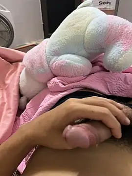 Nampon 网络视讯表演