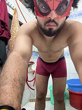 sub27n Webbikameraesitys