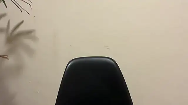 Show webcam de brazilianhairy