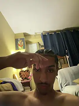 Jay2brickeddn Webbikameraesitys