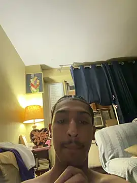 Jay2brickedd Webcam Show