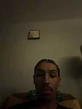 Jay2brickedd's Webcam Show