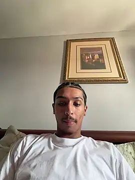 Jay2brickedd's Webcam Show