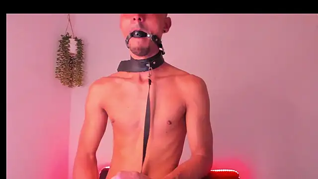 Dante_Fire_ Webcam show