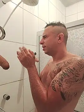Show de GATO-SELVAGEM na webcam