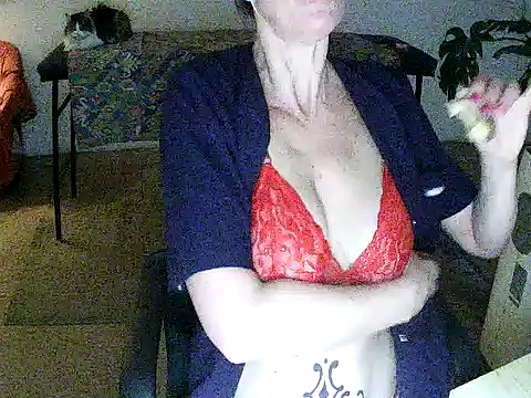 Felinamzan Webbikameraesitys