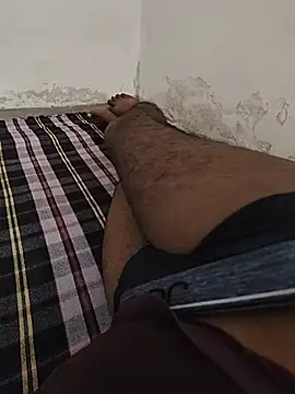 bull_1lun Pertunjukan Webcam
