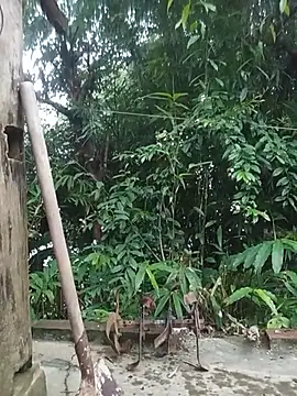 Heryy_xx Live Chatraum