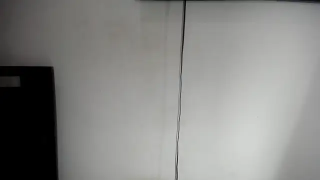 Fox_Loves 现场聊天室
