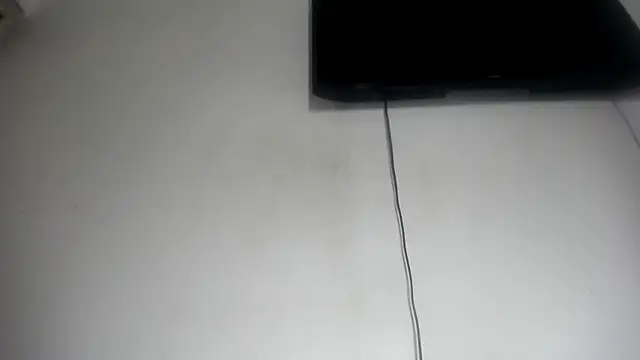 Fox_Loves' Live Chat Room