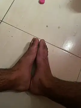 Angel_foxc13n Webbikameraesitys