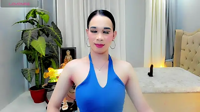 عرض كام LexiLoreOnTop