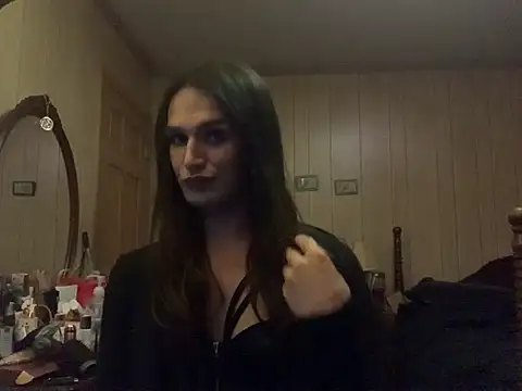 Show de webcam de hexthebinary