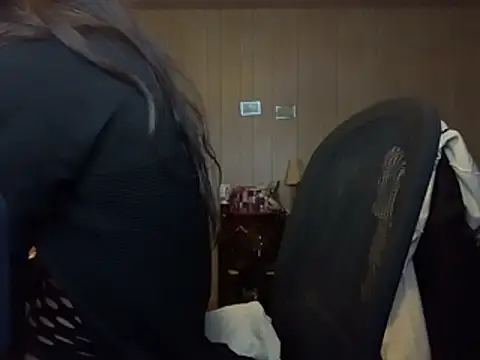 Show Webcam de hexthebinary