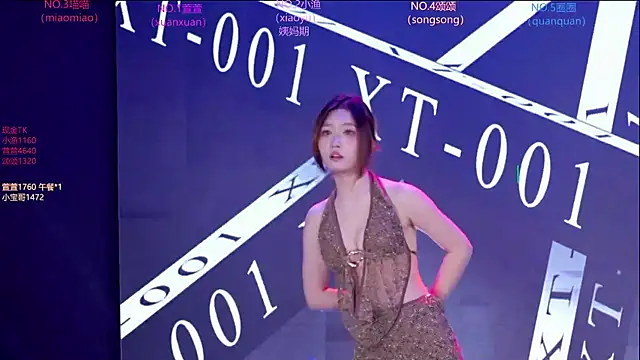 Xt-001 Show in webcam