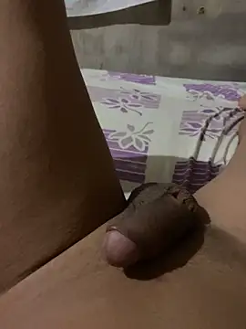 Show webcam de Novinho8