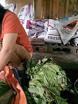 Elfledaa 现场XXX聊天