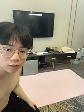 MMM-520 Show Webcam