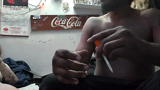 VanillaSnowconesn Webbikameraesitys