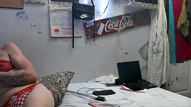 Show Webcam de VanillaSnowcones