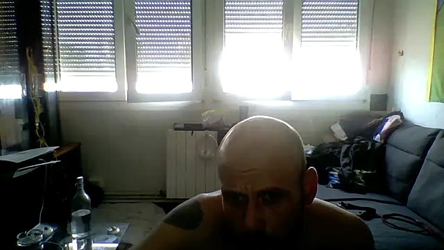 Dileilei – webcam-show