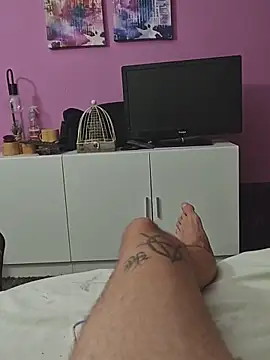 Show de Dileilei na webcam