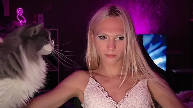 Show Webcam de sindLy