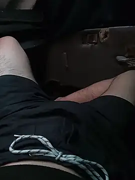 VergonVip Webcam Show