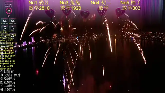 DY-002 网络视讯表演