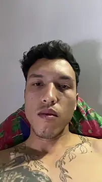Dan_harmor 网络视讯表  演