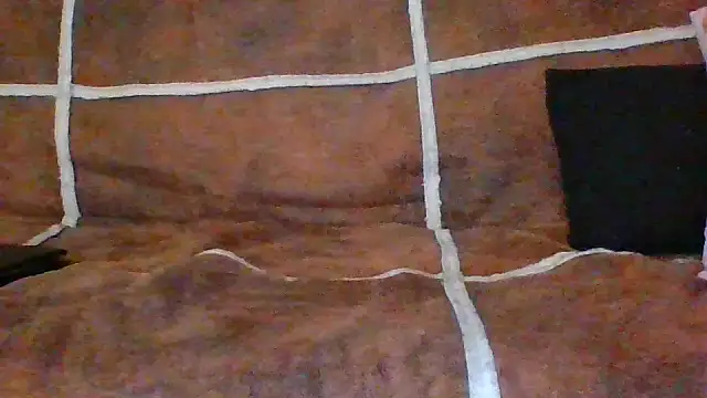 Show webcam de Ecrivain