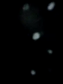 Sala de chat ao vivo de cutiepari