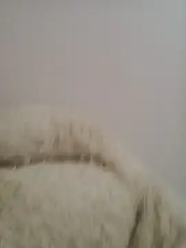Chat soba uživo modela Catalina_sout