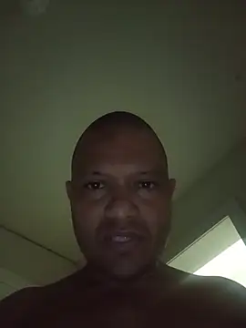 Palom2026n Webbikameraesitys