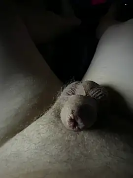 Show webcam de Devot24