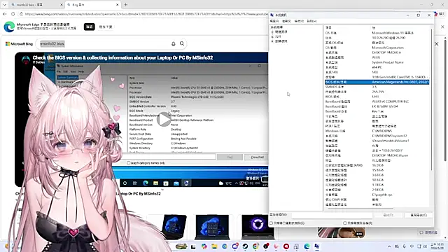 Fatis-Rin-Meow's Webcam Show