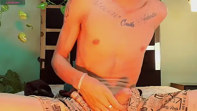 langelo_eln Webbikameraesitys