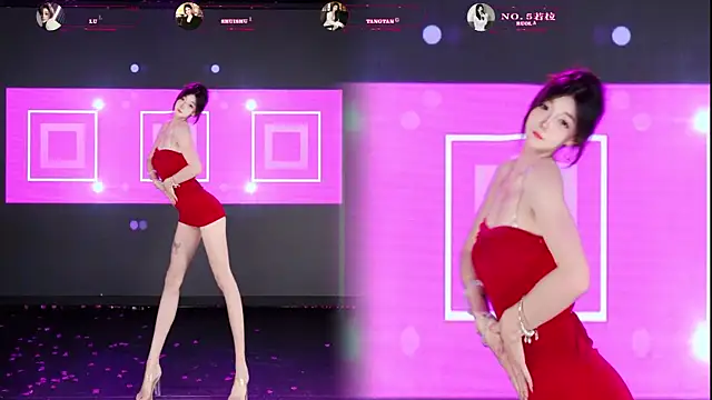 TF-001 웹캠 쇼