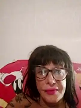 Show Webcam de stellina73