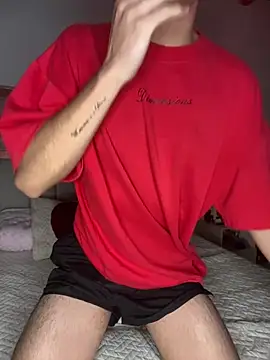 Show modela Felix_0125 na web-kameri