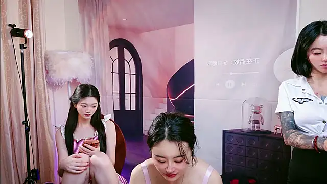 הופעת וובקאם של Pinnnkcat