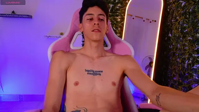 DanteVoss_n Webbikameraesitys