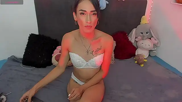 Hanna_longn Webbikameraesitys