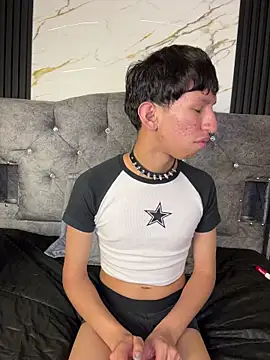 Noah-fire Webcam-Show